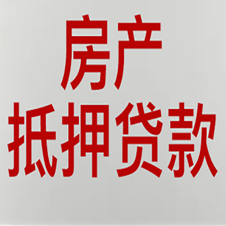博鳌镇贷款公司新渝启服推荐选择